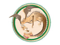 The Book Dragon